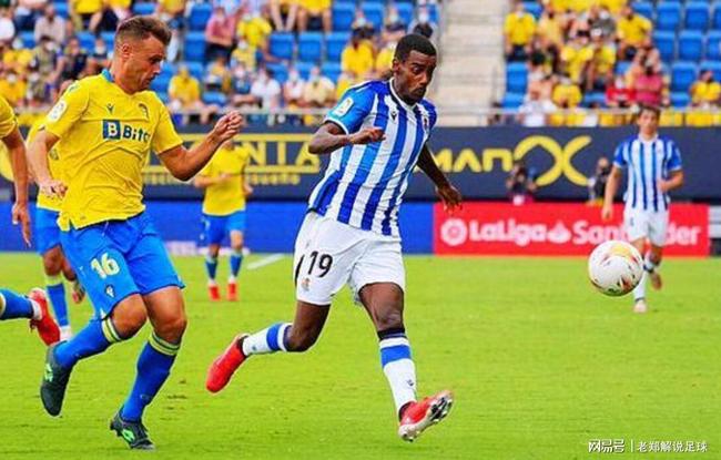 的观赏性和 的观赏性和