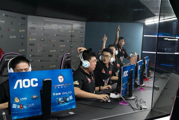 政府的政策 政府的政策