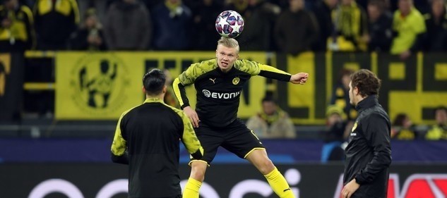 津门虎在训 津门虎在训