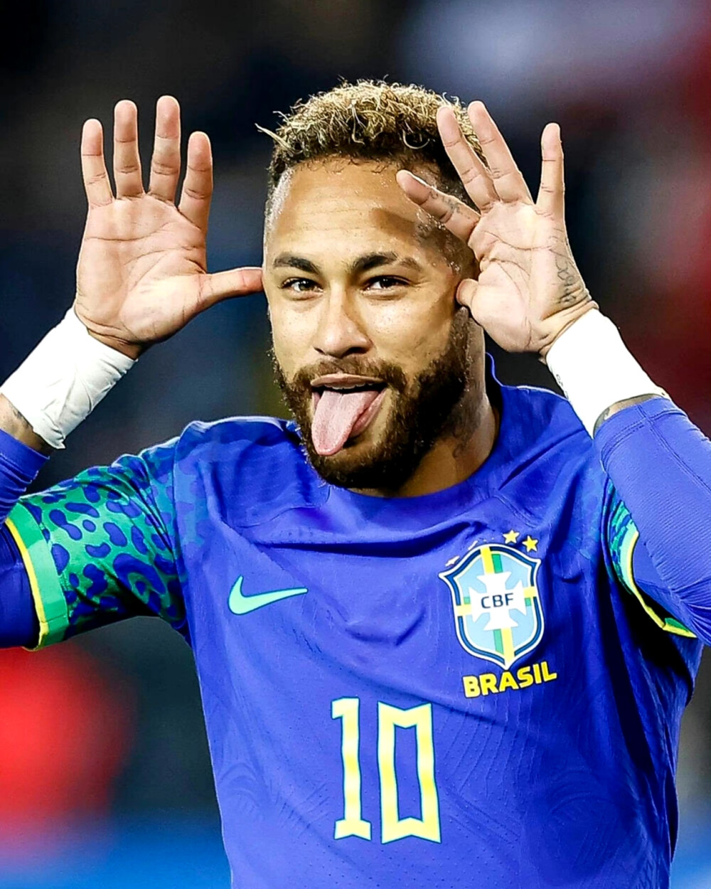 落的滋味 落的滋味