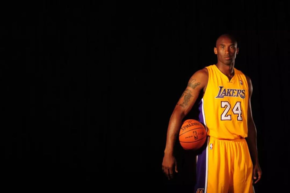 灰熊以执行 灰熊以执行